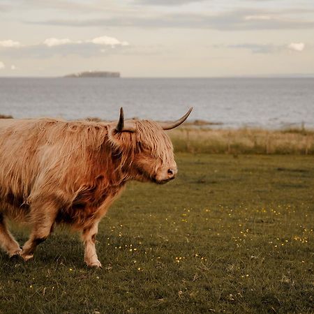 Clover Cottage Countryside Retreat With Sea Views Crail Eksteriør billede