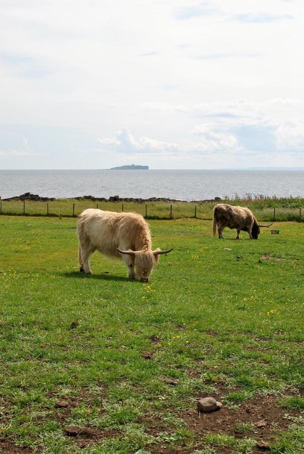 Clover Cottage Countryside Retreat With Sea Views Crail Eksteriør billede