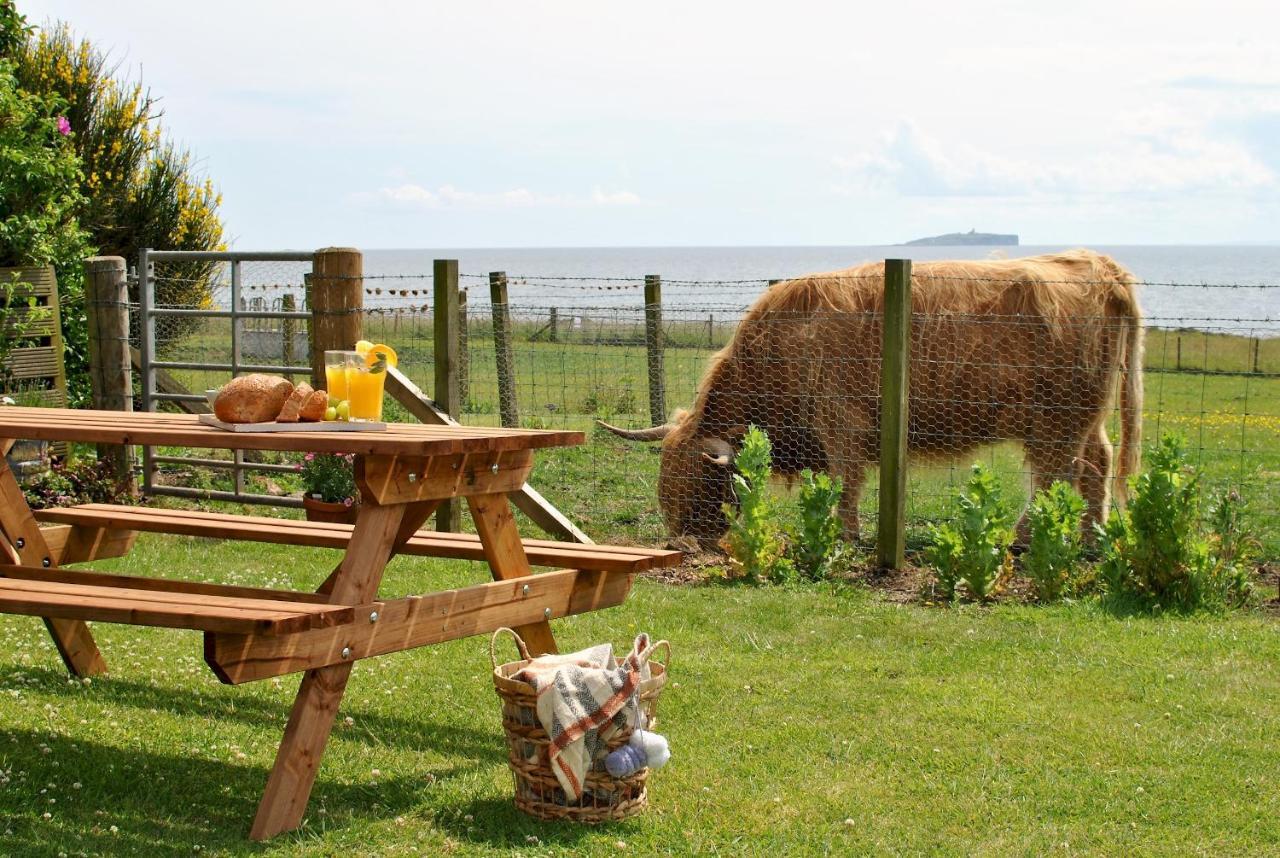 Clover Cottage Countryside Retreat With Sea Views Crail Eksteriør billede